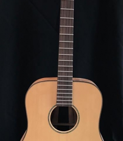 Đàn Guitar Acoustic BL350