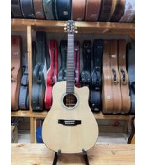 Đàn Guitar Acoustic Custom Mahogany - EQ Fishmand 301