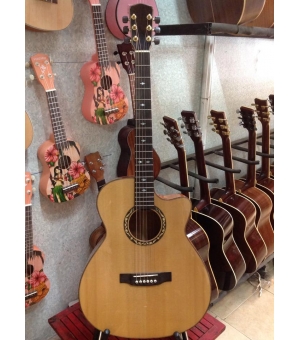 Đàn Guitar Acoustic HDC500