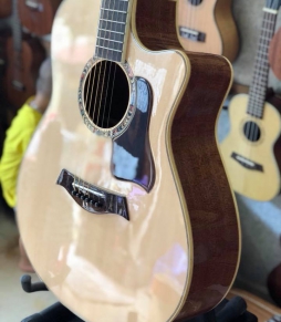 Đàn Guitar Acoustic HD-250