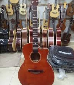 Đàn Guitar Acoustic HD-120