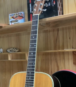 Đàn Guitar Acoustic Morris W30 Like New